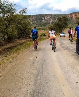 Cycling