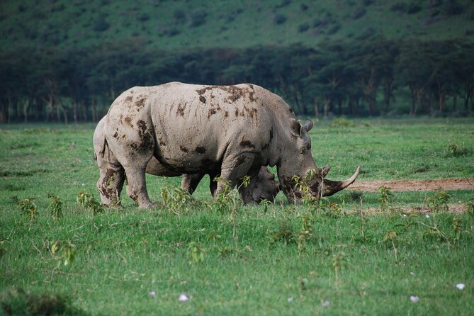 kenya-tanzania1