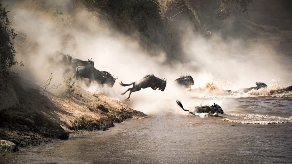 maasai-mara