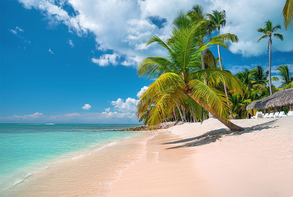 zanzibar2